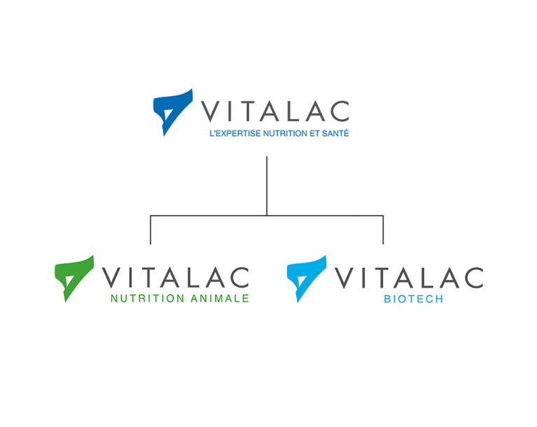 Structure Vitalac