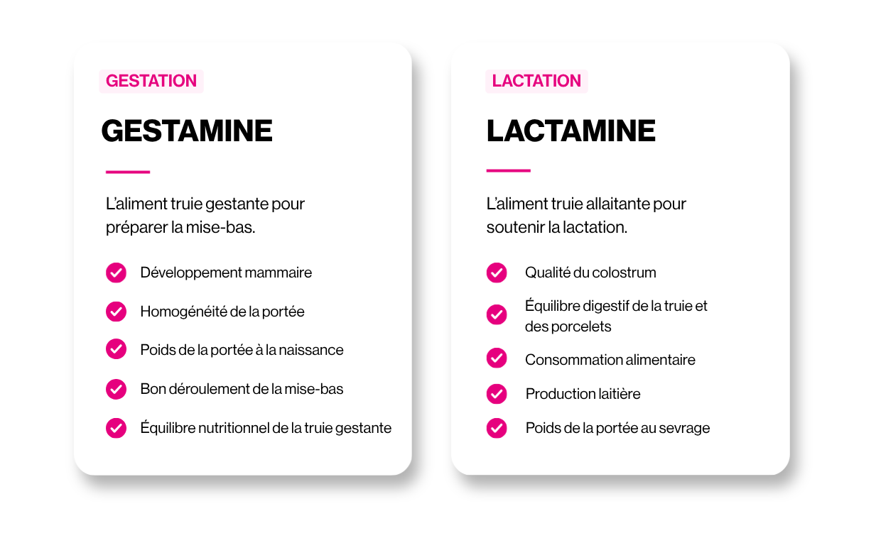 Gamme CALINEA / GESTAMINE & LACTAMINE