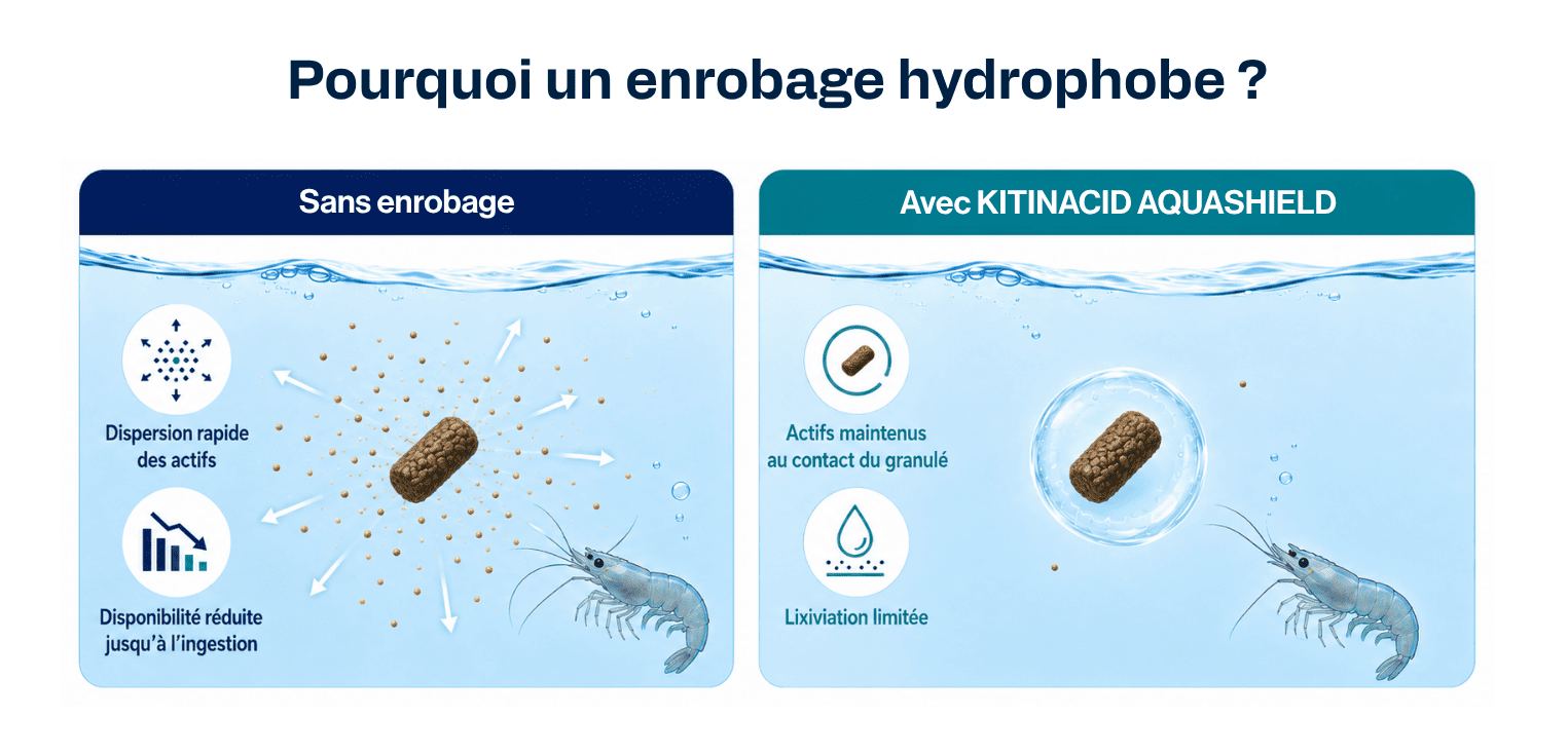 Lixiviation avec KITINACID AQUASHIELD