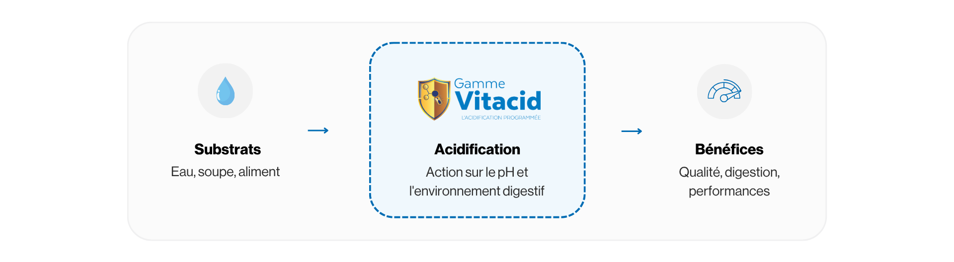 Pourquoi acidifier ses aliments ?