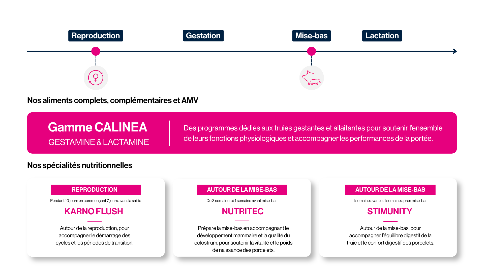 Programme nutritionnel pour la truie
