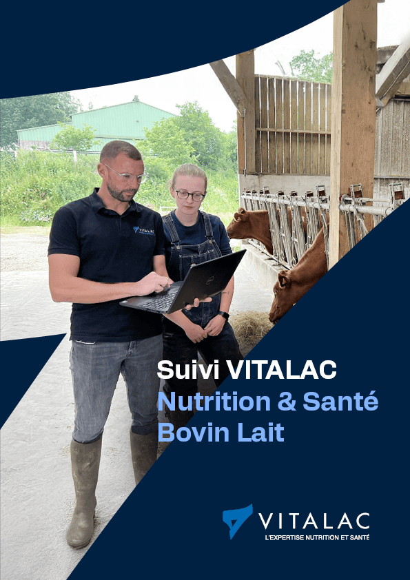 Plaquette services et accompagnements 