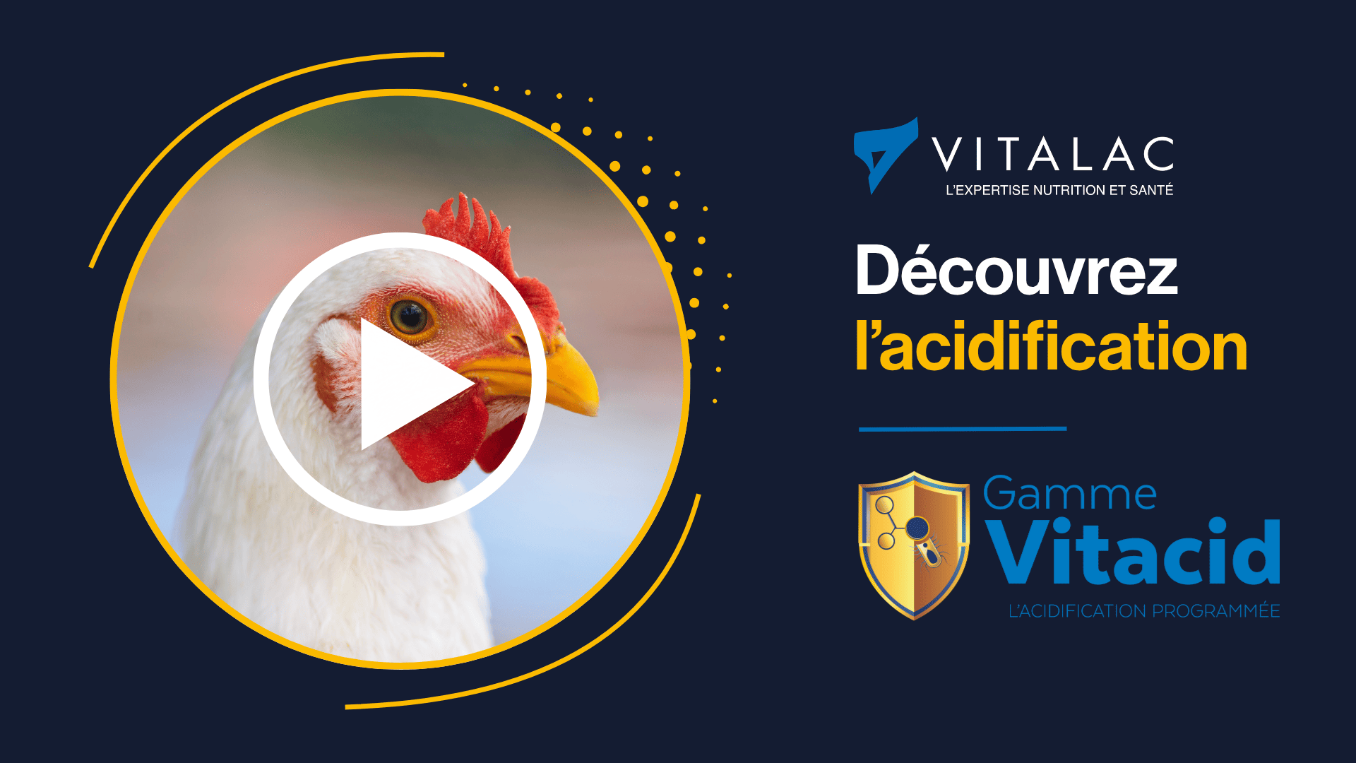 Acidifiant Volaille : comment fonctonnent-ils ?