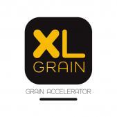 logo xl-grain céréale maïs blé orge triticale protéine ph bovin vache fourrage 