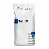kactus_stress_chaleur_vitalac 