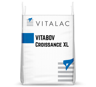 bigbag-vitabov-croissance-xl.png