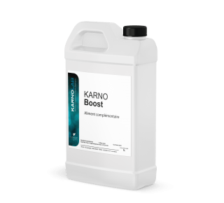 Karno boost bidon 1l