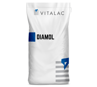 mockup diamol sac