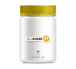 siloguard-mais