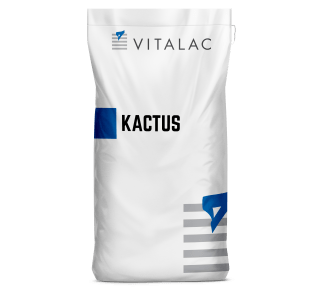 kactus_stress_chaleur_vitalac 