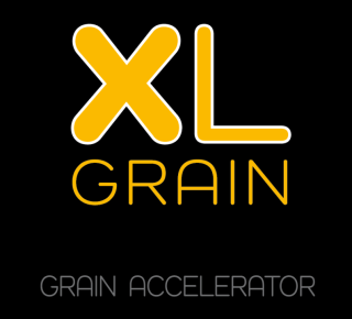 Logo XL GRAIN.png