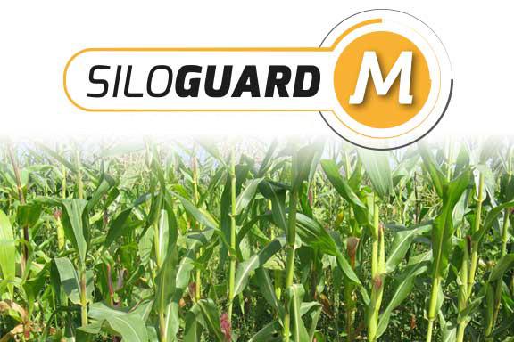 Logo SiloGuard - organic corn silage preservative