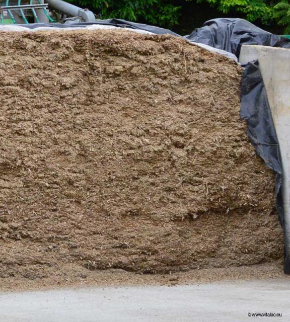 Siloguard, reliable and enriched silage corn