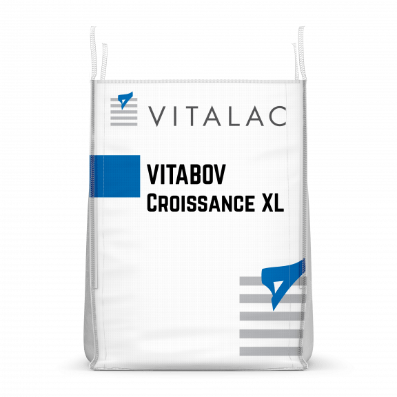 bigbag vitabov croissance xl