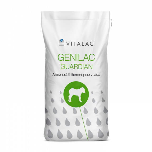 GENILAC GUARDIAN, une poudre de lait qui garantit croissance et santé intestinale aux veaux