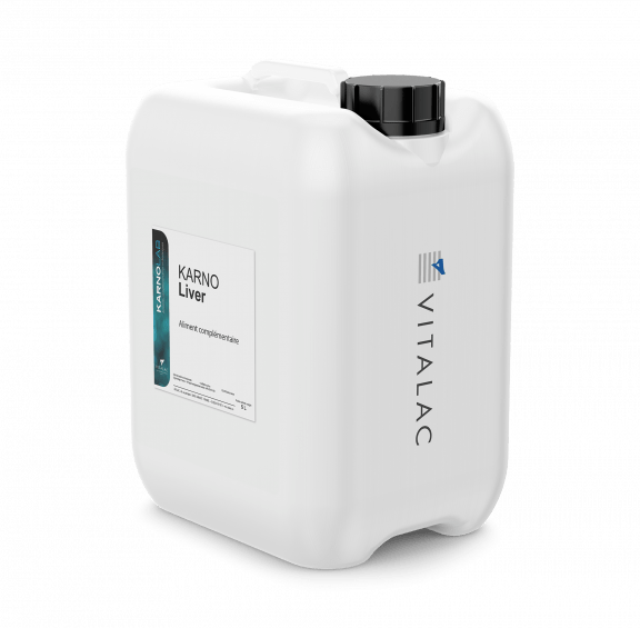 Karno Liver bidon 5l