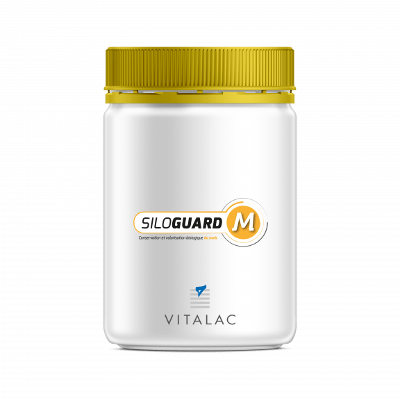 siloguard-mais