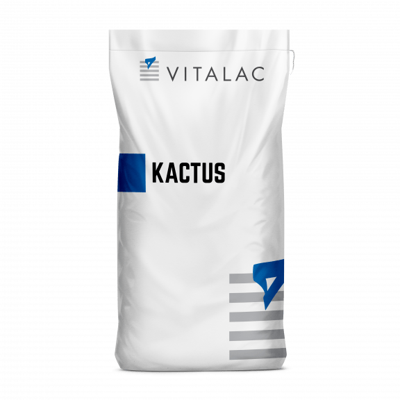 kactus stress de chaleur