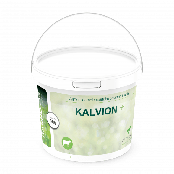 spécialité nutritionnelle veaux kalvion seau de 3kg