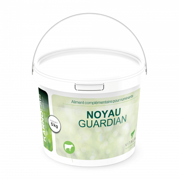 noyau-guardian_seau_5kg_Vitalac