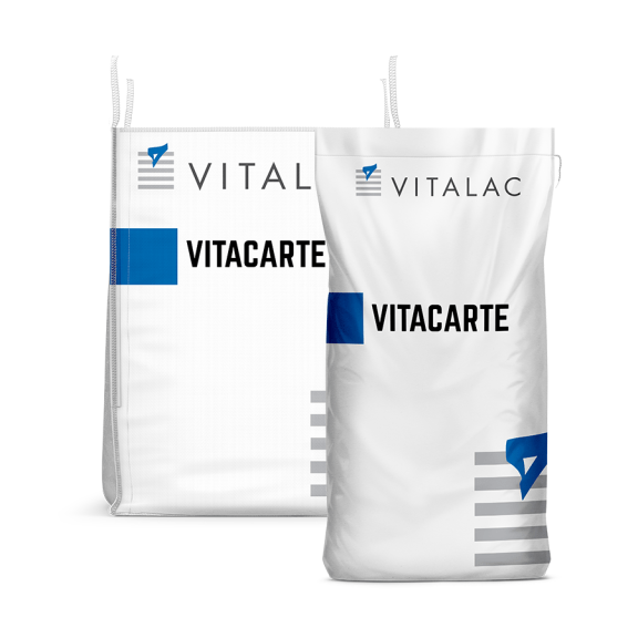 vitacarte