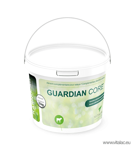 Seau de 3 kg Guardian Core