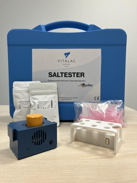 Saltester 