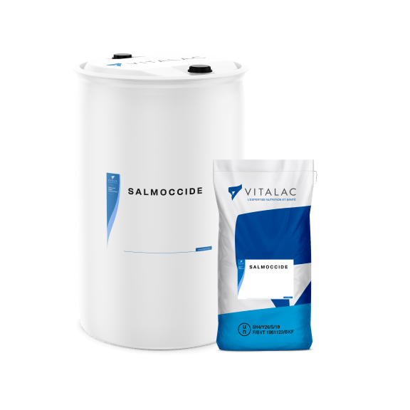 SALMOCCIDE