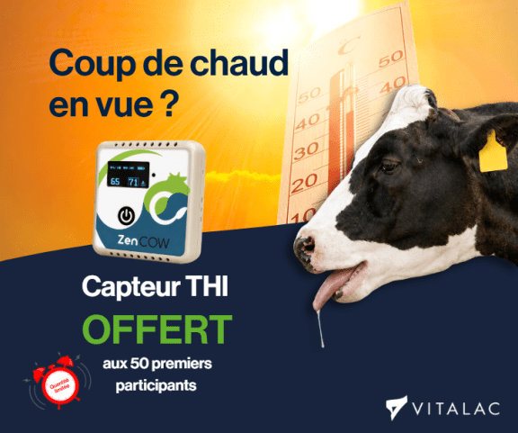 Luttez contre le stress de chaleur