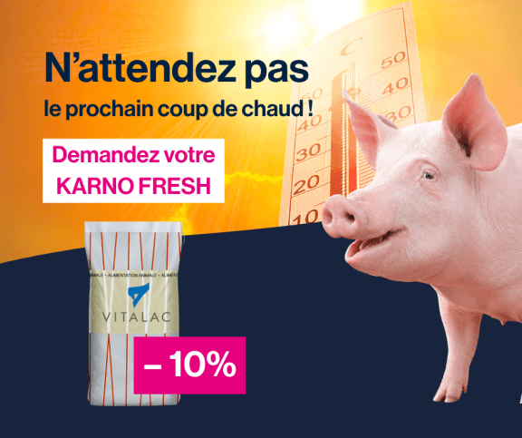 KARNO FRESH, solution VITALAC pour accompagner les porcs en période chaude