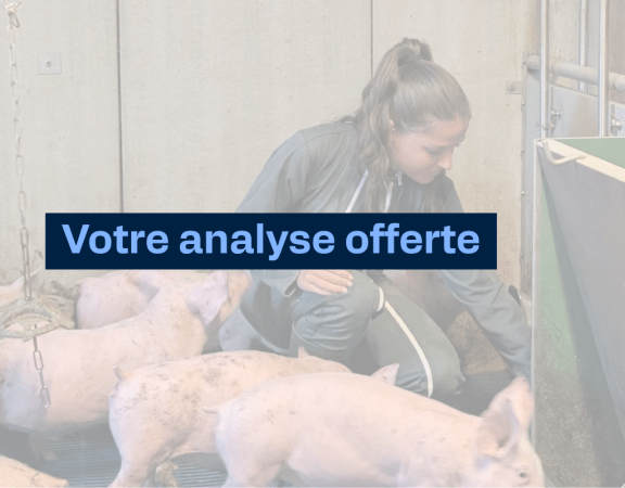 Analyse d'eau / soupe offerte