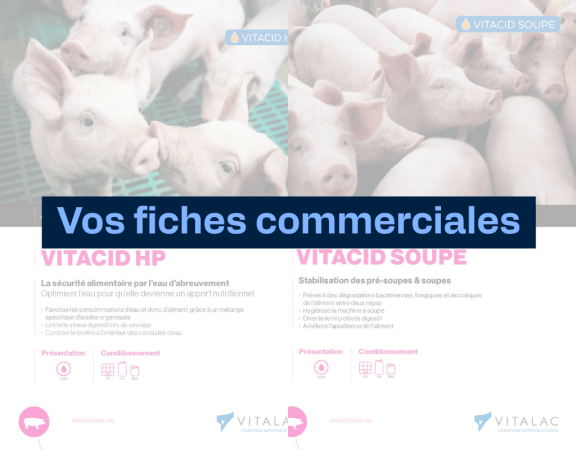 Fiches commerciales VITACID HP+SOUPE