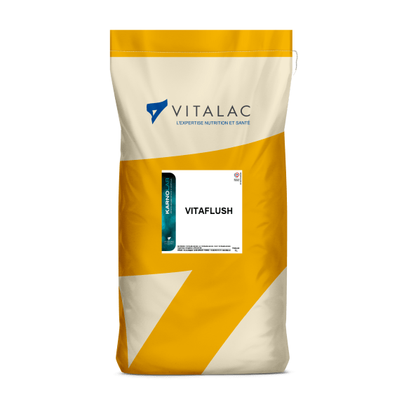 VITAFLUSH