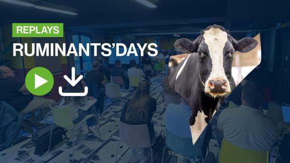 Ruminants'Days 2026