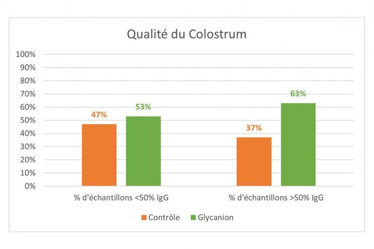 glycanion_velage_vache_tarie_baca_colostrum_production_lait_hypocalcemie_2