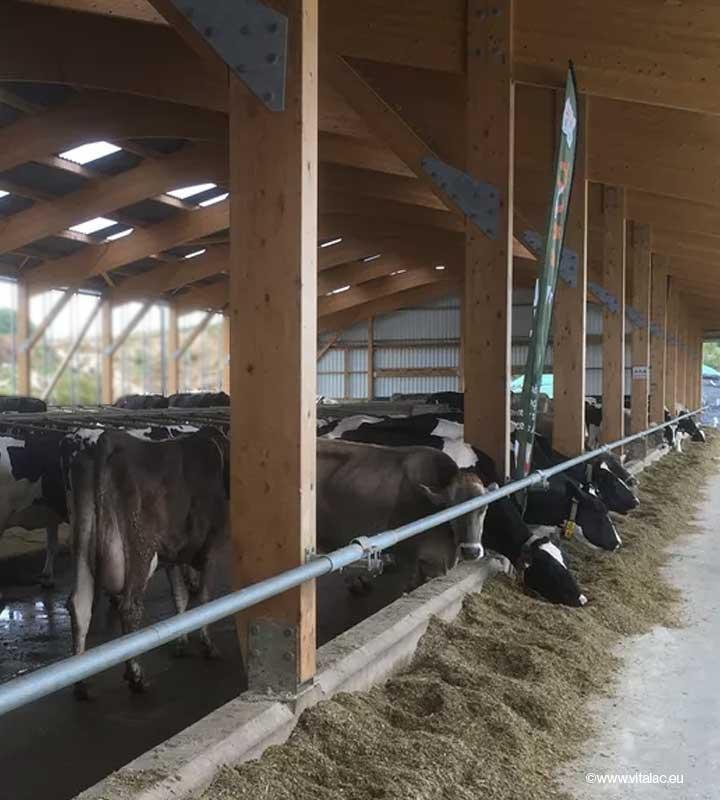 Rumix ration correcteur azote élevage bovins ruminant vache laitières allaitant engraissement 