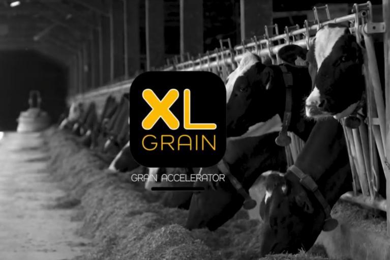 videos xl grain recommandations technique céréale maïs blé ration autonomie alimentaire protéines proteique
