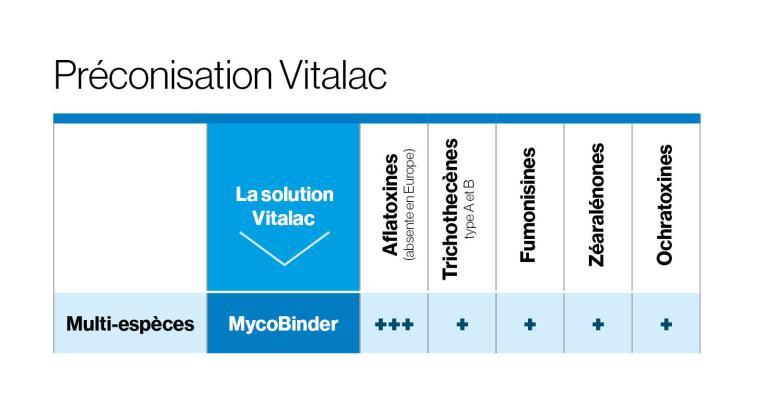 Effets Mycobinder sur les mycotoxines