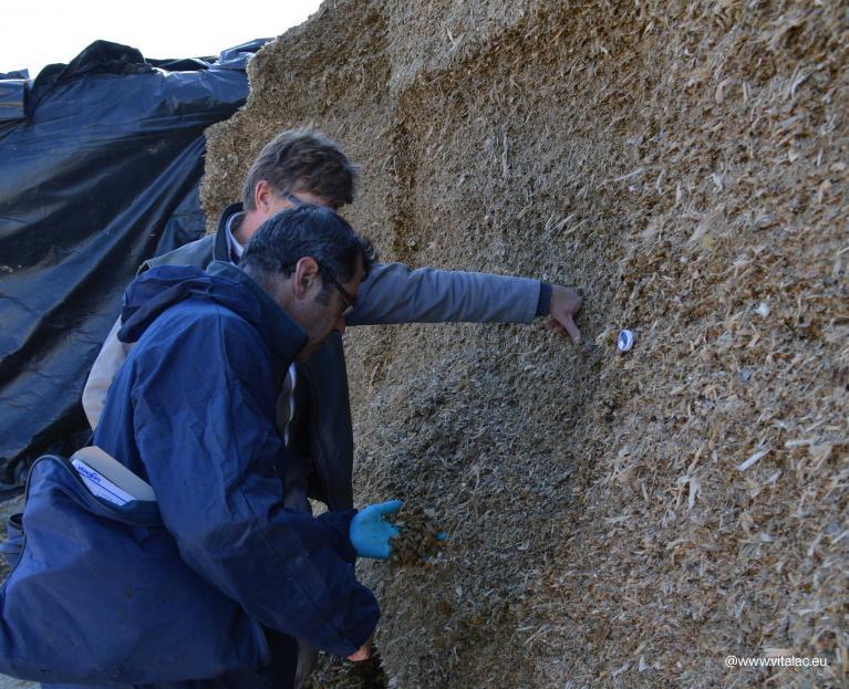 accompagnement visites élevages bovins silo fourrage ensilage philippe_arzul