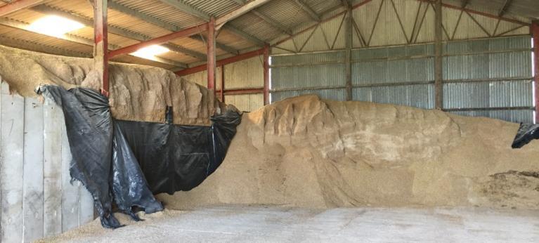 Optimisateur céréale autonomie protéique XLgrain silo