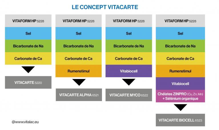 mineraux vitacarte ruminant