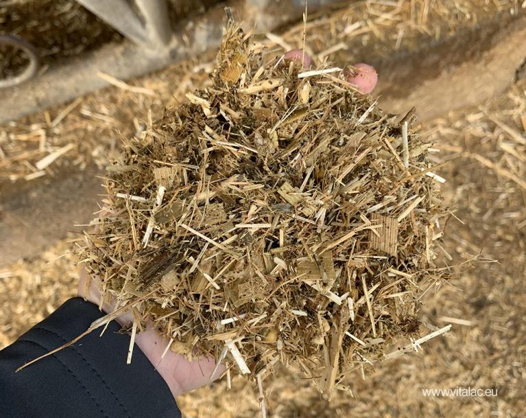 Elevage ration vache laitière minéral