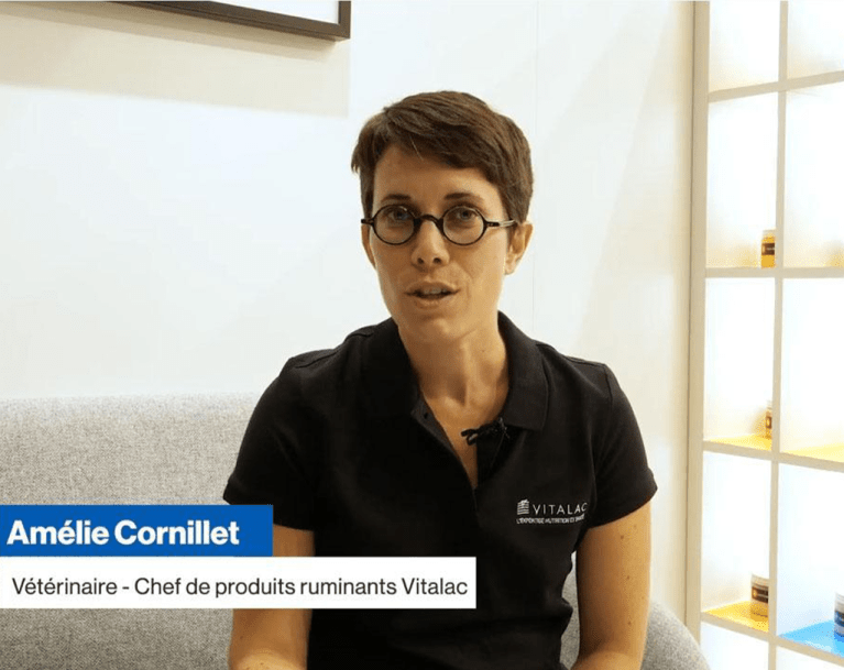 Amélie Cornillet