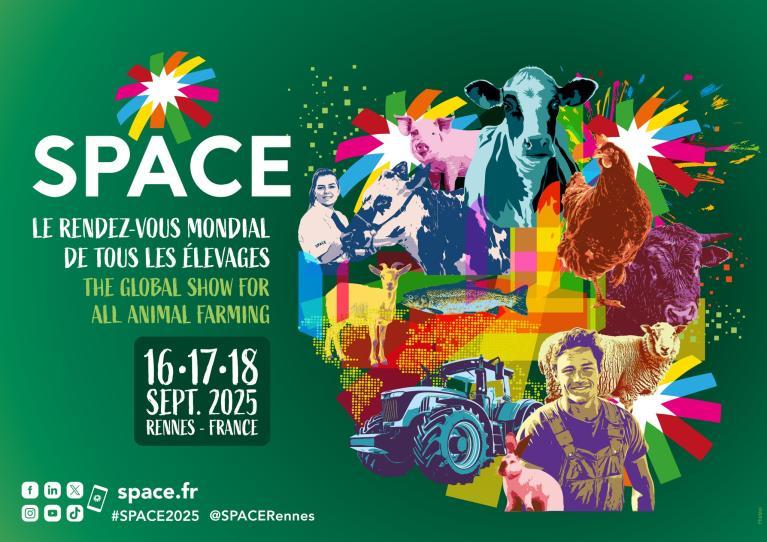 space 2025