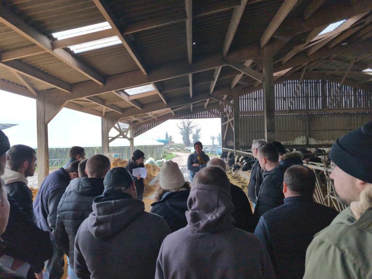 Un des groupes de la journée devant les vaches taries