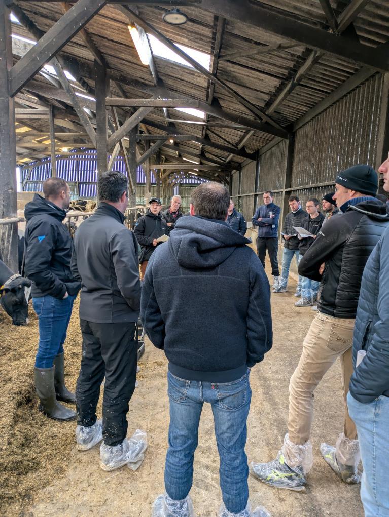 Un groupe d'éleveurs visitent la stabulation 