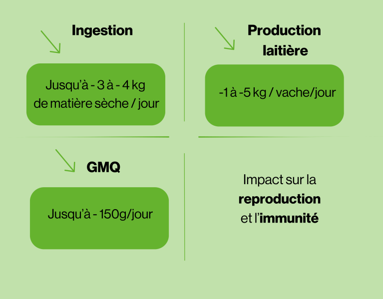 Chiffres impact stress thermique.png