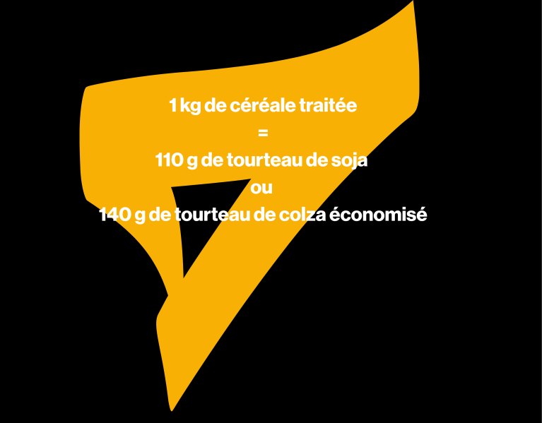 Infos XL GRAIN (2).png