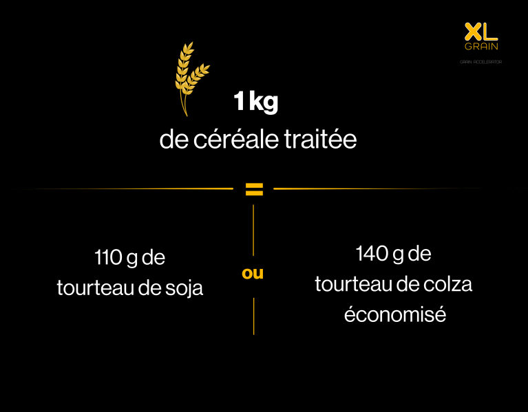Infos XL GRAIN (5).png