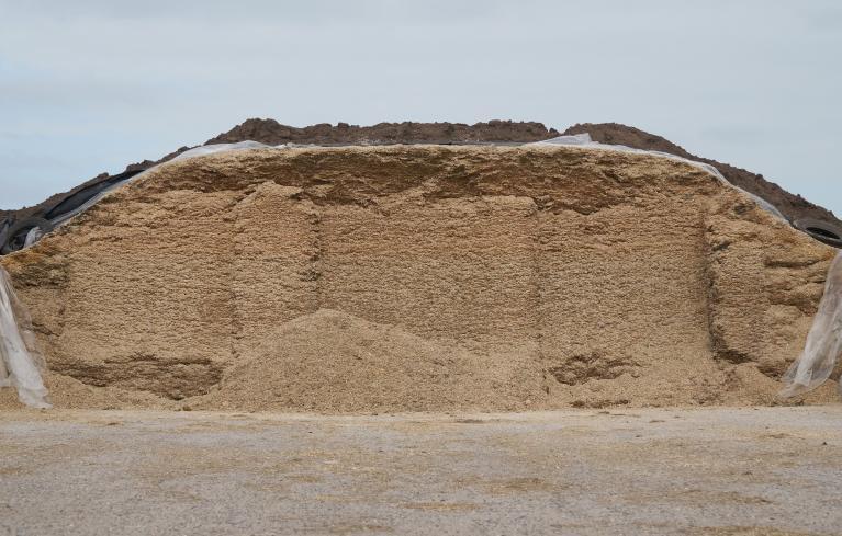 Tas ensilage.jpeg